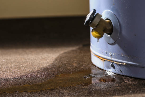 Best 24/7 water damage repair  in Gulf Hills, MS