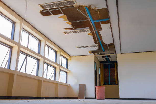 Best Residential water damage restoration  in Gulf Hills, MS