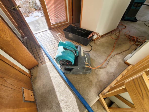 Best Water damage mitigation services  in Gulf Hills, MS