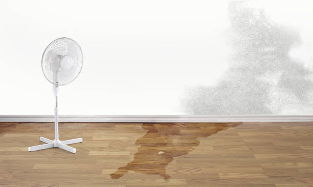 Best Water damage restoration near me  in Gulf Hills, MS