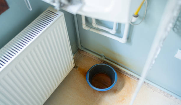 Best Flood restoration services  in Gulf Hills, MS